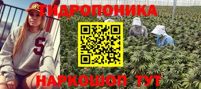 индика Волжский