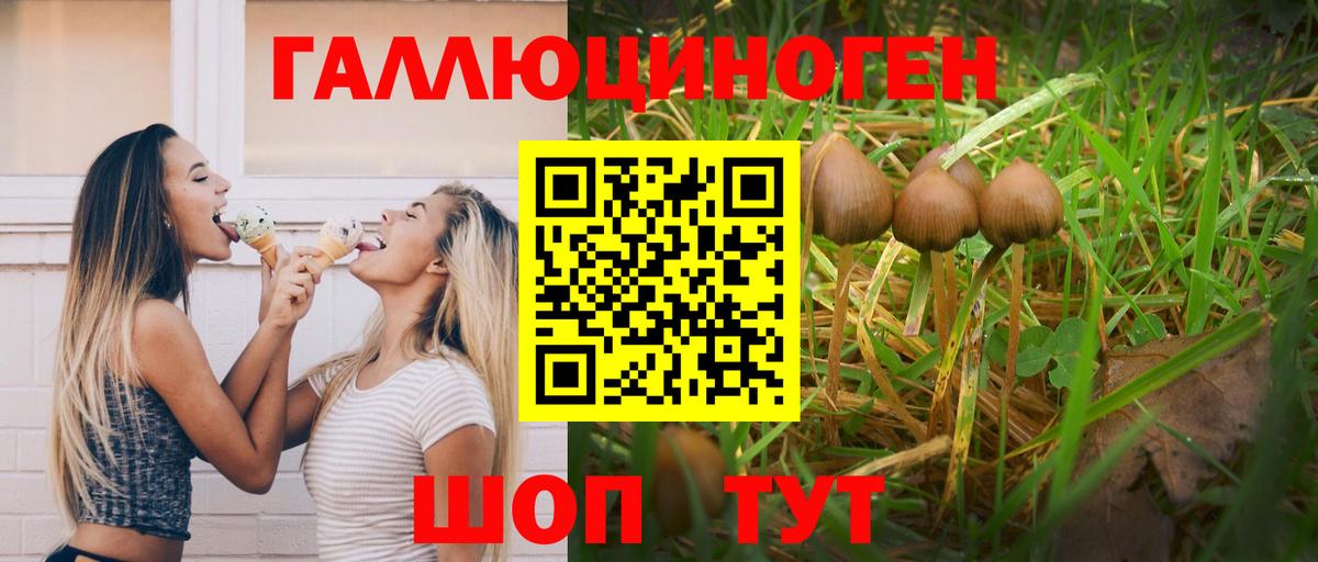 Псилоцибиновые грибы ЛСД Белорецк