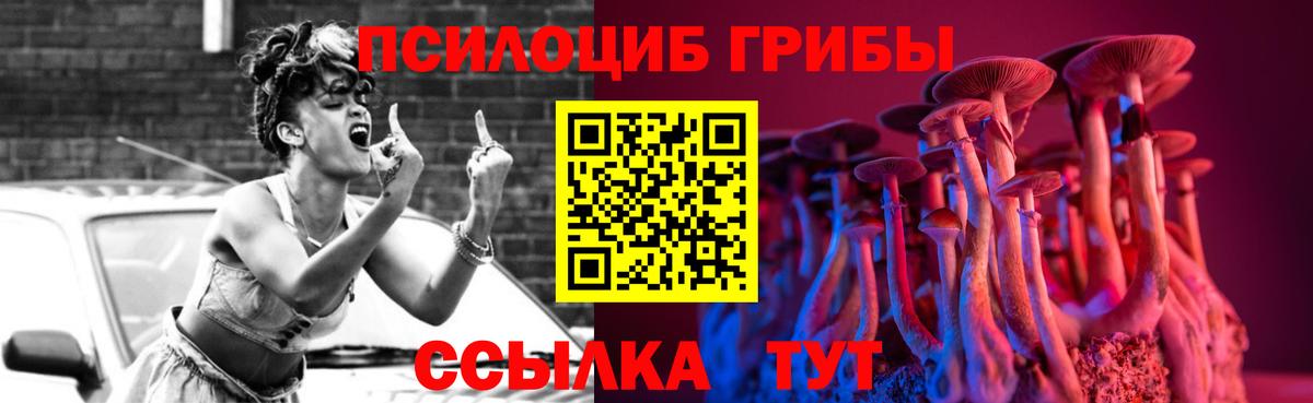 Галлюциногенные грибы Cubensis  Вход с VPN  Белорецк 
